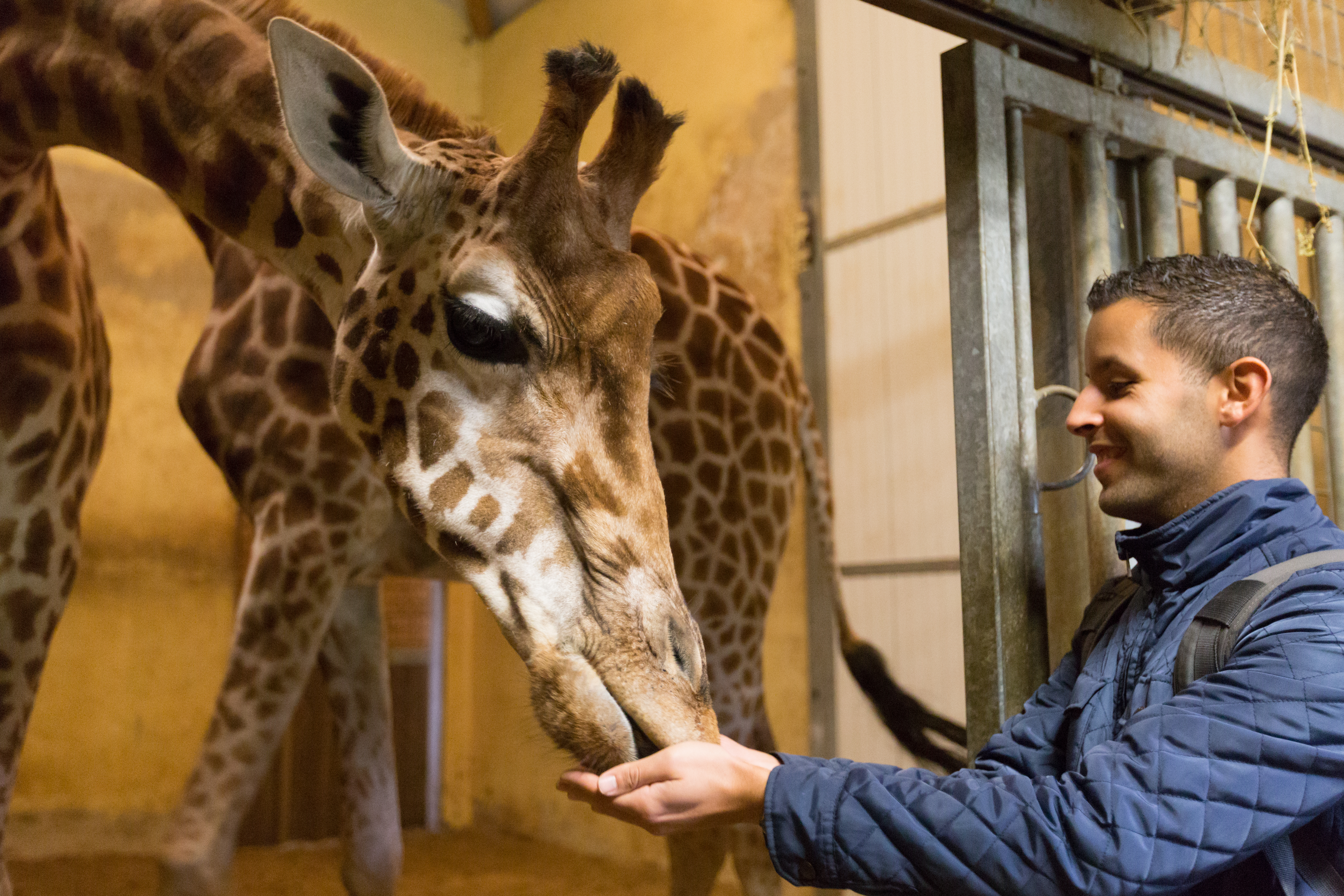 Séparateur de contenu