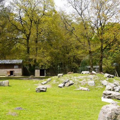 vignette Le Territoire des Kangourous