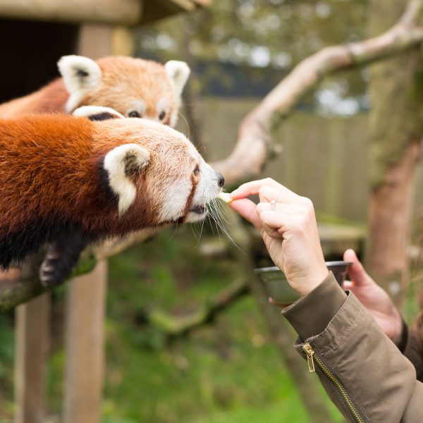 Réservation – Dans la peau d&rsquo;un soigneur