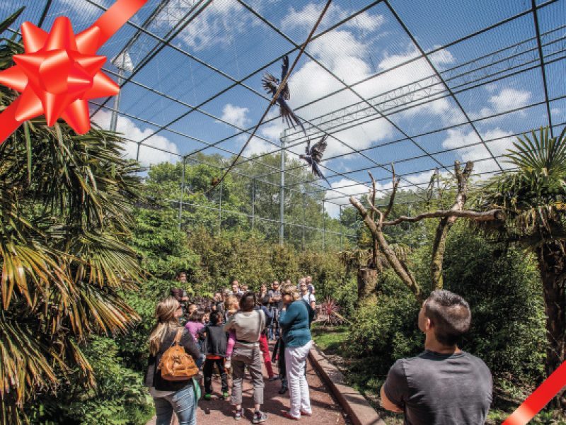 photo Carte d&rsquo;abonnement à l&rsquo;année