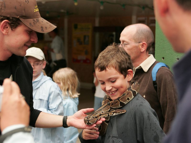vignette Contact avec les serpents
