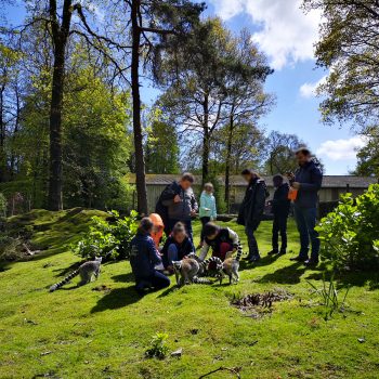 Goûter d&rsquo;anniversaire