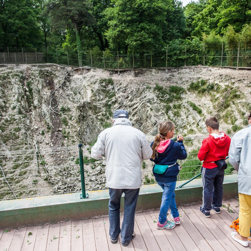 Vignette Montagne d&rsquo;afrique