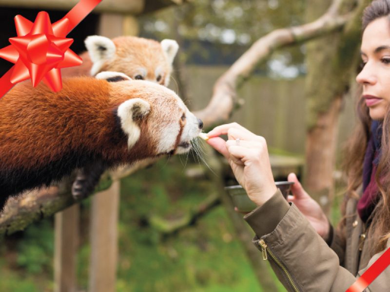 photo Dans la peau d&rsquo;un soigneur Kid