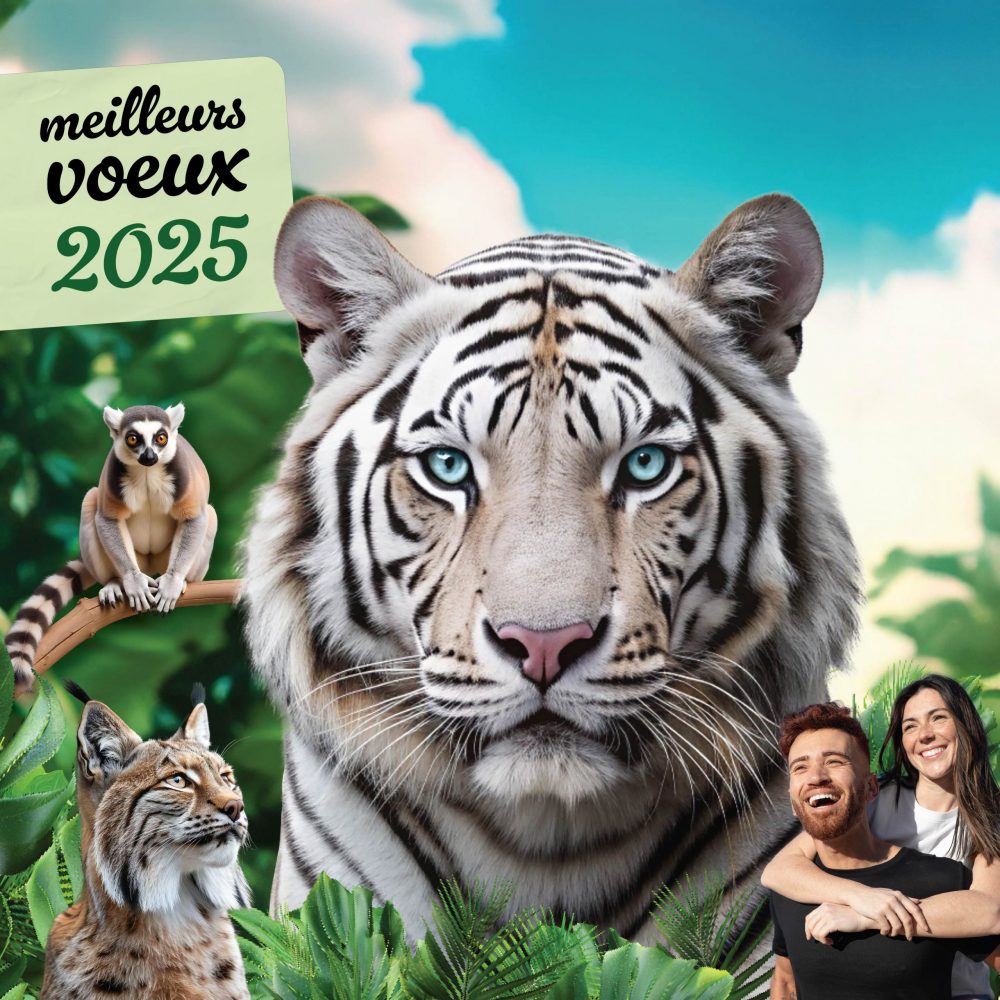 Vignette Bonne année 2025 !