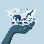 Week-end Conservation les 19 et 20 juillet au Zoo de Jurques