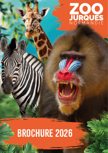 vignette Brochure 2026